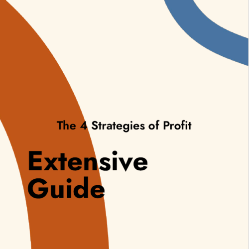 4-Strategies-of-profit-Extensive-Guide-Product-Cover
